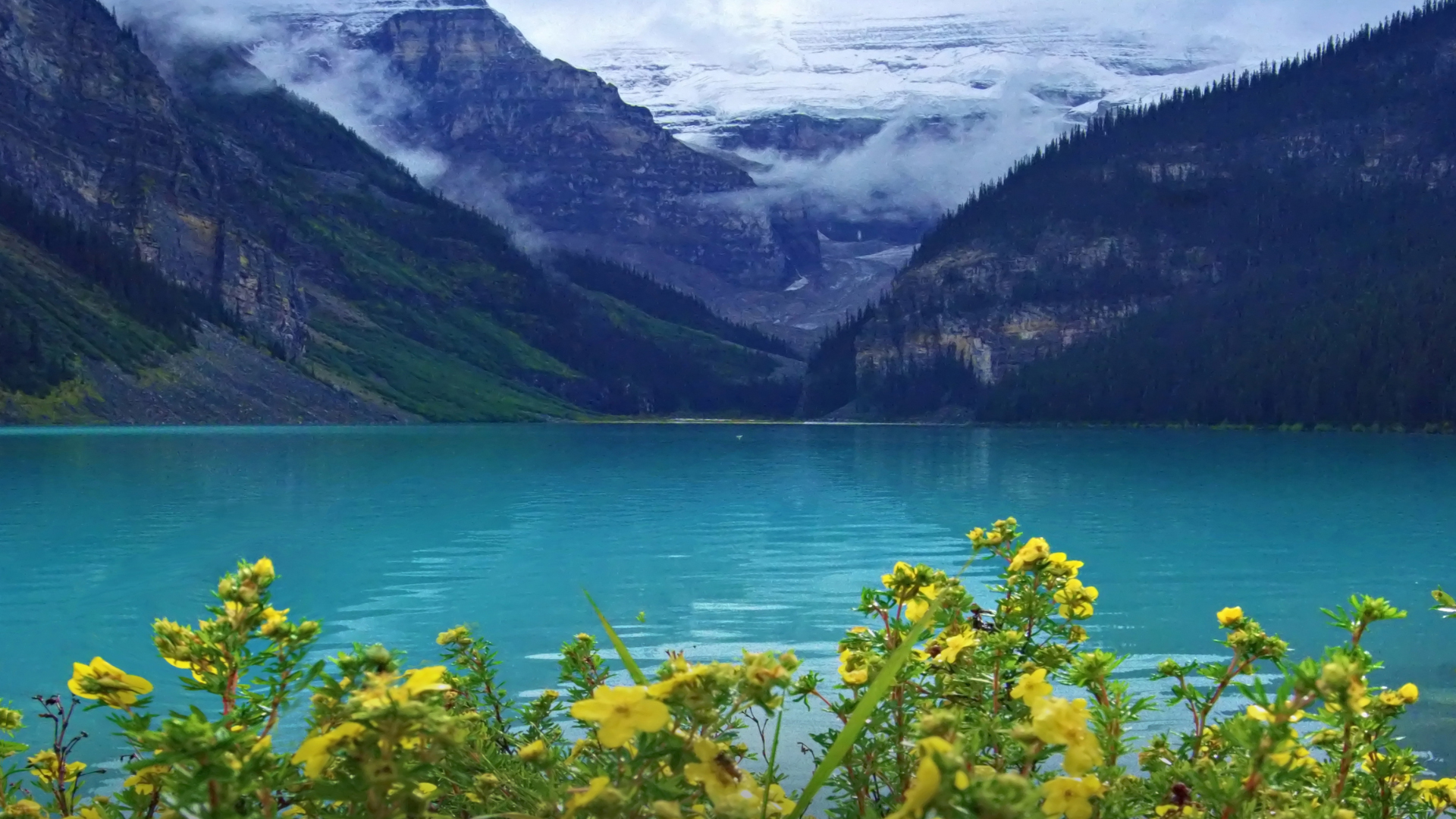 Hero's Journey I - Banff, Alberta, Canada.
Life changing hiking adventure in Canadian Rockies! Through caring therapy you will overcome anxiety, fears, embrace change, and return home refreshed.